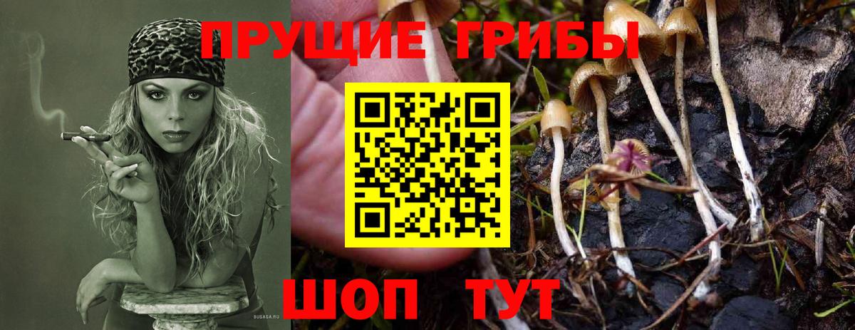 Псилоцибиновые грибы Magic Shrooms  Галлюциногенные грибы GOLDEN TEACHER  Вход с VPN  Маркс 